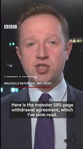 Here's what the draft Brexit deal means – in 30 seconds. Latest: https://bbc.in/2QHhgcs | BBC News