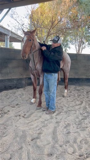 Tack tip how to adjust a Game Changer; to order go to www.skhorsemanship.com Riverina AustraliaCircle L Australia | Scott Keogh Horsemanship