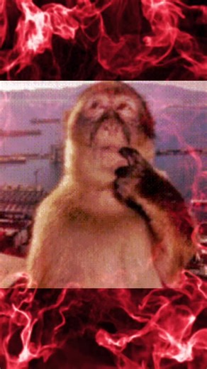 #рекомендации