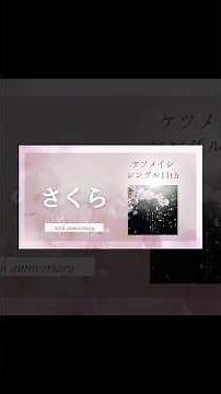 【リリース20周年】ケツメイシの代表曲「さくら」を徹底解説!!PVの女優やロケ地などもご紹介