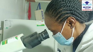 🔬 Explore the World of Diagnostics! Join our Medical Laboratory Science program at Milestone Institute and gain hands-on skills in medical testing and research. 🩺 July–August Intake Ongoing! 📞 Contact us today to secure your spot! 📲 Call 0769358606 #MedicalLabScience #MilestoneInstitute #JulyAugustIntake #HealthCareTraining #LabProfessionals | Milestone Institute of Medical & Health sciences - Nakuru Campus