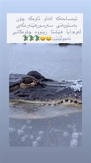 فيديوهات أنشأها _x.a.t.w.n_ (@_x.a.t.w.n_) باستخدام original sound - _x.a.t.w.n_