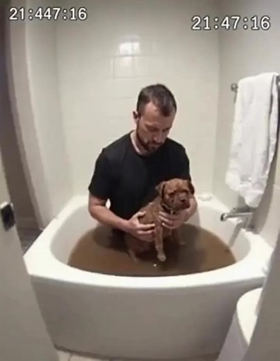 I RESCUED A FILTHY, PITIFUL CREATURE, ASSUMING IT WAS A REGULAR PUPPY… BUT ONCE I GOT IT HOME AND CLEANED IT, I WAS HORRIFIED TO DISCOVER IT WASN’T A DOG AT ALL, BUT… I work at a chemical manufacturing plant. The factory stands almost at the edge of the forest — from the gate to the river it’s only about a ten-minute walk. Often after my shift, I take the path home that runs along the river. That evening was overcast, and a light mist hung over the water. I was about to turn toward the bridge wh