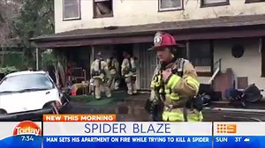 This bloke took killing a spider to the next level... He tried to burn the pesty wolf spider with a BLOW TORCH, but the spider quickly took refuge in the man's mattress, which burst into flames. What measures have you taken to kill a spider? We reckon it won't be as nuts as this... 😂🕷 #9Today | TODAY