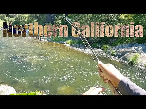 Fly Fishing Beautiful Northern California - Free Form Fly Fisher