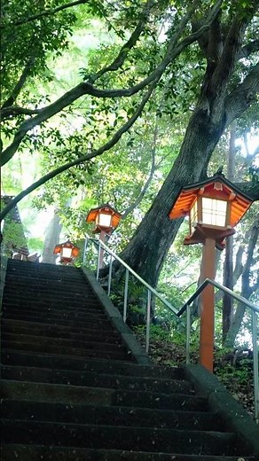 早朝の等々力渓谷 (08) 🌿癒しの自然🏔️東京23区唯一の自然渓谷が3年ぶり完全再開！💧不動の瀧