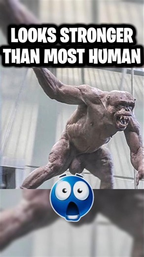Animals You've Never Seen Muscular Before😳‼️
