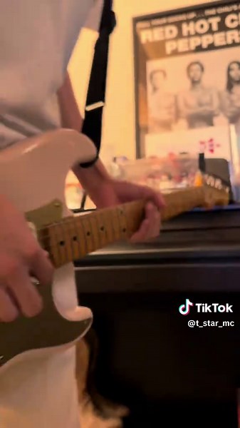 Talking Box弾いてみた😍