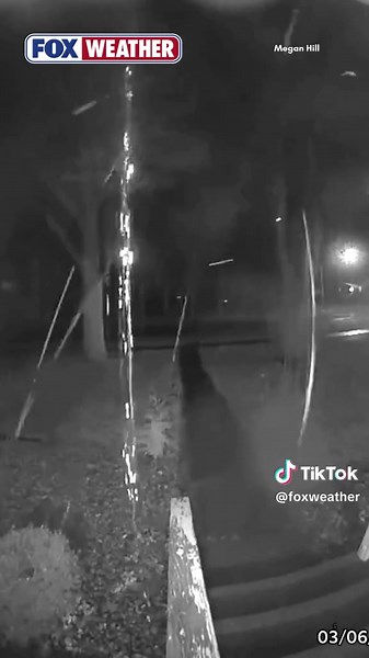 BOOM: Ring camera footage from a residence in Adrian, Missouri, captured the moment a lightning bolt lit up the sky during a thunderstorm. Want to see your videos featured? Send them to us at foxweather.com/connect #Missouri #Thunderstorms #Lightning #Rain #FOXWeather