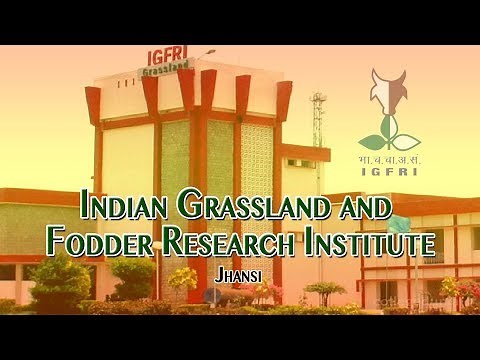 Indian Grassland and Fodder Research Institute-IGFRI, Jhansi