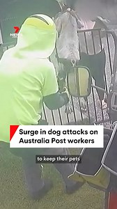 32K views · 138 reactions | Australia Post is pleading with dog owners to keep their pets under control after a frightening surge in attacks on posties. #dog #dogs #dogattack #dogowner #dogowners #auspost #australiapost #post #postie #postiebike #mail #parcel #delivery #7NEWS | 7NEWS Sydney | Facebook