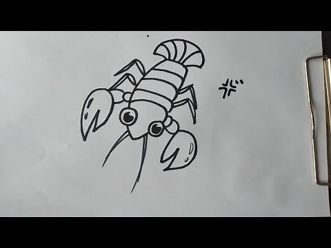 How to Draw Crayfish