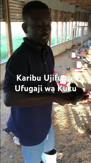 Rode Poultry Class Episode 1 #fuga #banda #farmlife #chicken #farm #farming #poultryfarming