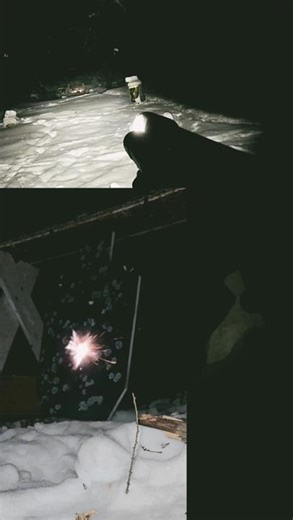 .22 Cal Exploding Pellets🔥🧨 #nightshooters #airguns #crazy #ammo #damage