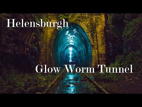 Helensburgh Glow Worm Tunnel - Australia