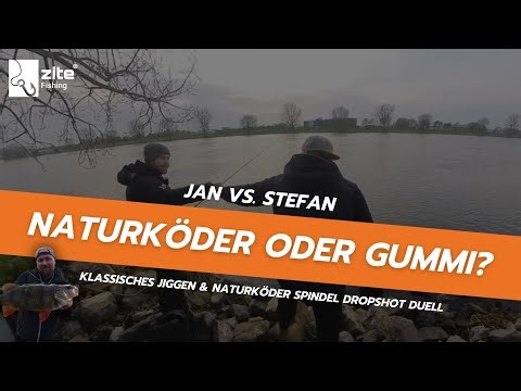 Naturköder am Drop Shot gegen Gummifisch am Jig – Das Barsch/Zander-Duell!