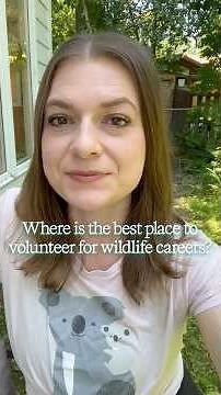 Where’s the best place to volunteer for wildlife work to gain experience?