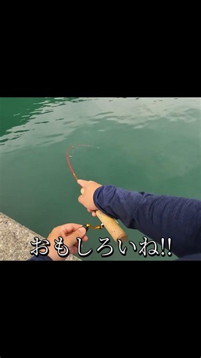 [Playing with a Trout Ranger] #DaisoFishingGear #TroutRanger #Fishing