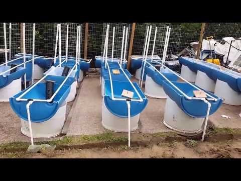 Hands down,, absolutely the best Barrel Garden system ever!! Part 1