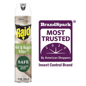 Raid Ant and Roach Killer, Insecticide Aerosol Spray with Essential Oils, 11 oz