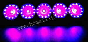 [Hot Item] DMX 512 Controller Individually Addressable Digital LED 5 Eyes Matrix Light Bar