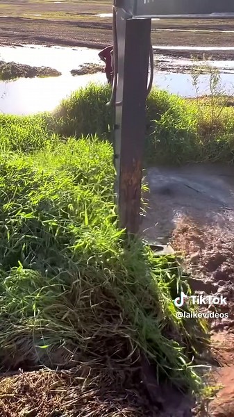 Limpeza de lago com escavadeira retro