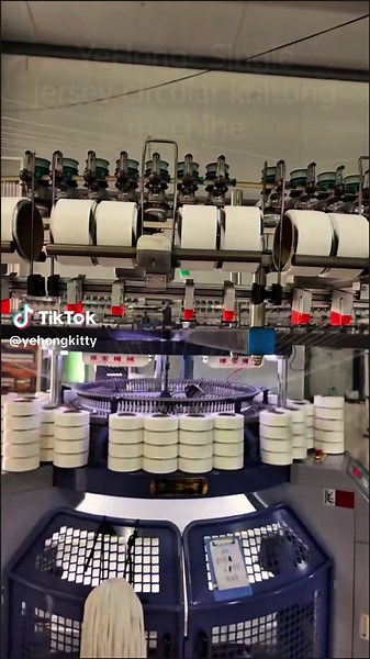 YeHong Kitty on TikTok