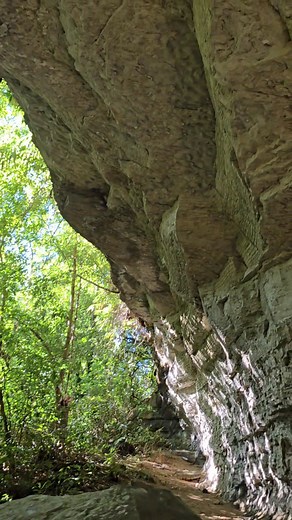 Zeinusuan cave khou nai mei maogina khuang tumei kiu e. Khoupum chingkao khou we. #khoupumchingkao #khoupumvalley #zeinusuancave #maoginakhuang #nature #naturelovers #everyoneシ゚viralシviralシfypシ゚viralシalシ #everyonefollowers #highlight #highlightseveryone | Introvert's Lens