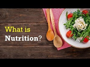 What Is Nutrition for Beginners