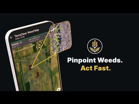 Stop Walking Fields - Start Targeting Giant Ragweed