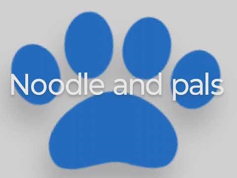 Noodle and pals say cheese