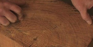 Video: Wood Reclamation at The Green Building / (fer) studio