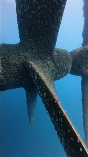 How Giant Ship Propellers Move Massive Ships 😳🚢 #ship #shippropeller
