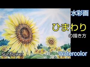 Watercolor painting/How to paint a sunflower with transparent watercolors🌻/Summer sky/for beginners
