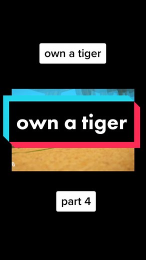 How to Own a Tiger: A Complete Guide for Tiger Owners