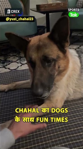 Yuzvendra Chahal घर पर अपने Dogs संग दिखे Relax Mood में, खेलते और मस्ती करते नजर आए | Sports Tak