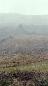 Four days of snow just started. The fridge is full, heating turned up, and lots of Lego ready to be built. Bring it on! ☃️ | Foxes Afloat