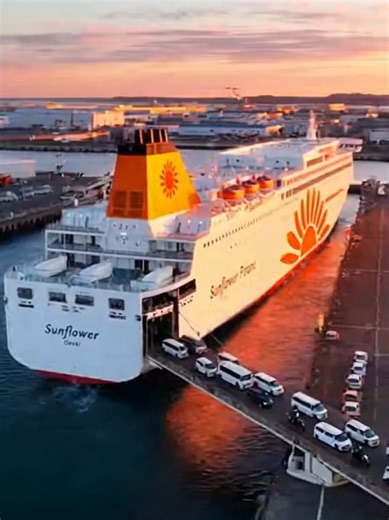 商船三井さんふらわあの大型船（例：「さんふらわあ ふらの」「さんふらわあ さっぽろ」）が、茨城県大洗港の活気ある風景を背に力強く出港し、広大な太平洋の波を切りながら航行。 ＃商船三井さんふらわあ ＃客船 ＃船旅