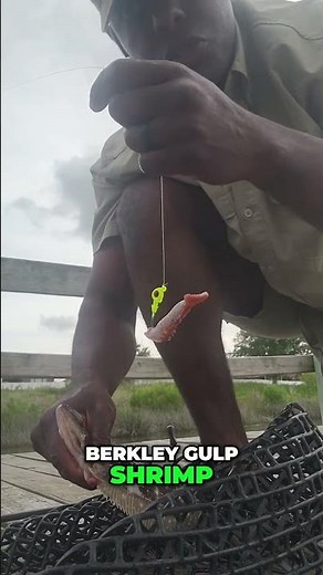 Flounder Fishing Secrets: Catching Big Flounder with Gulp Shrimp!