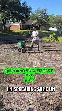 St Augustine Sod installation #gardening #grass #St Augustine