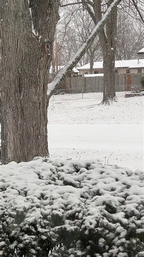 jamiepie888 (@jamiepie888)’s videos with original sound - Ellie🐱