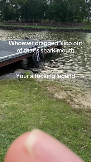 Heroic Rescue from Bull Shark Attack: The Nico Story