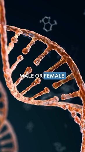 97K views · 2.8K reactions | There are only two genders—male and female—a truth confirmed by basic biology and genetics. Science clearly shows that sex is determined by chromosomes: XX for females and XY for males. Despite this, many scientists and activists misinterpret, twist, or outright ignore these facts to push an ideological agenda. Will we stand for truth, or continue to allow deception to redefine reality? | Allen Jackson Now | Facebook