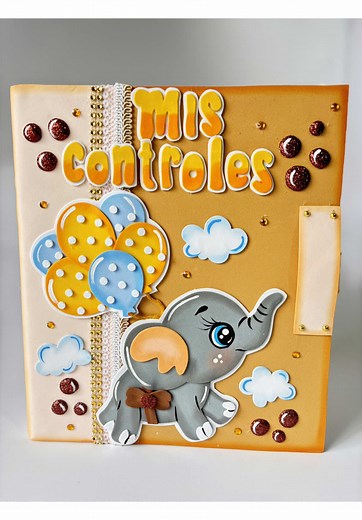 Carpeta de Controles Prenatales para Mamás Embarazadas