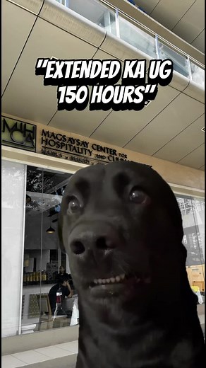 Spice Up Your Training: Lessons from Exit Interviews