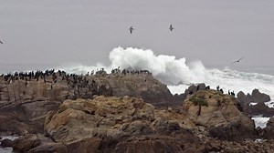 Unsere Ozeane · Film 2010 · Trailer · Kritik