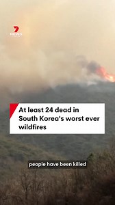 13K views · 97 reactions | At least 24 people are dead in South Korea as the country experiences the worst wildfires in its history. The blaze has destroyed places of worship, homes, factories and vehicles. #southkorea #wildfire #7NEWS | 7NEWS Australia | Facebook