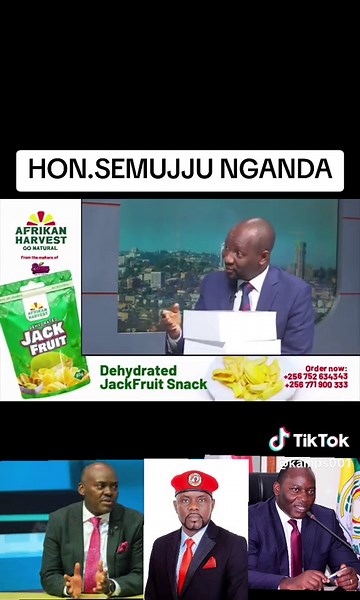 Parliamentaria Debates: The Role of MPs in Uganda