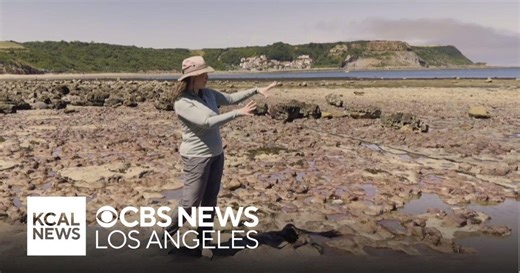 Exploring the Yorkshire Coast of England in the Jurassic Period