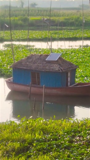 তুমি থাকো সুখে#funny #allahﷻallahﷻ #viral #comedy #comedy #colonelkkjϟ #birds #m2h